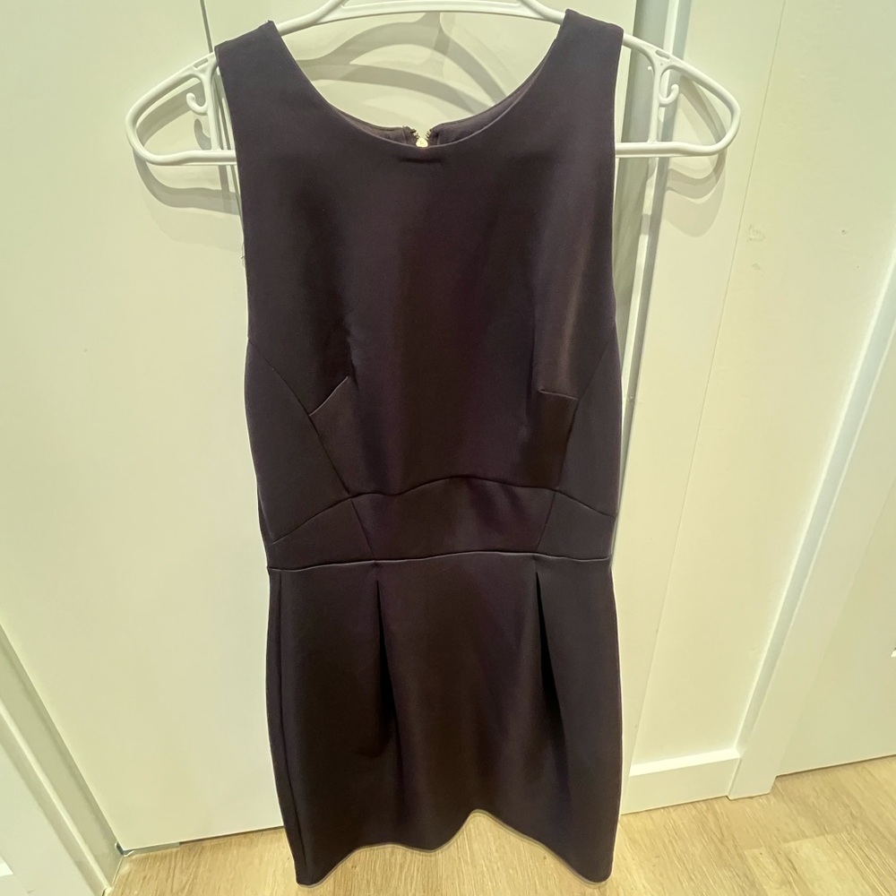 Dynamite Plum Mini Dress